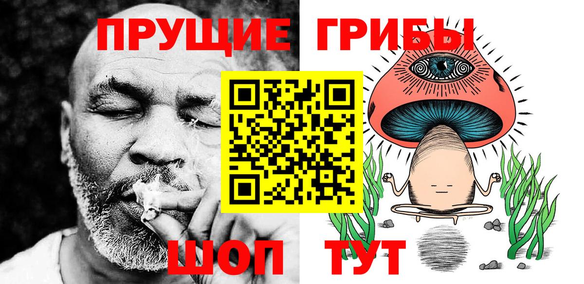 Вышний Волочёк  Псилоцибиновые грибы мицелий  Вход с VPN  Псилоцибиновые грибы Psilocybine cubensis 